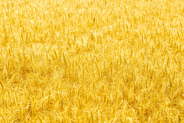 Similar image 21097460