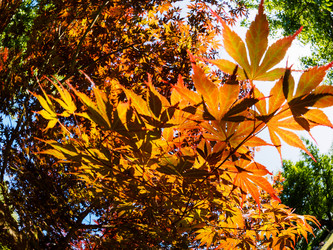 Similar image 21097462