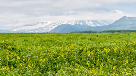 Similar image 21097467