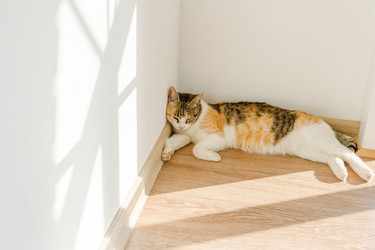 Similar image 21097473