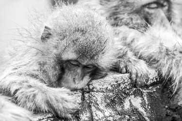 Similar image 21098249