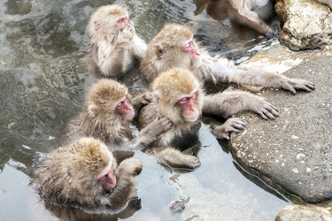 Similar image 21098251