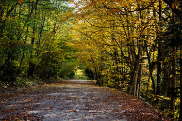 Similar image 21097491