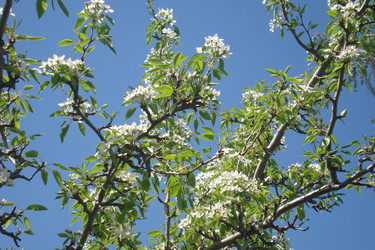 Similar image 21113762