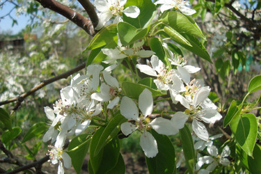 Similar image 21113763