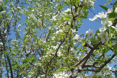 Similar image 21113765