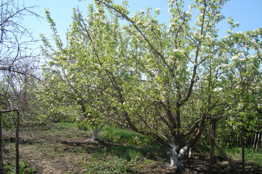 Similar image 21113766