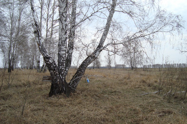 Similar image 21101750