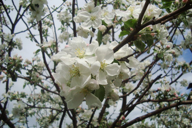 Similar image 21113767