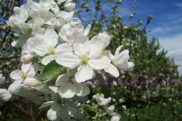 Similar image 21113769