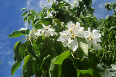 Similar image 21113770