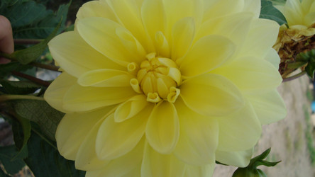 Similar image 21103029