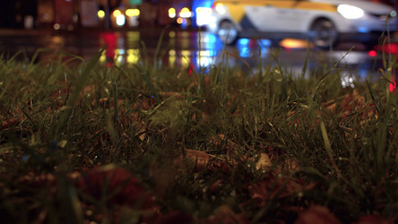 Similar image 21097497