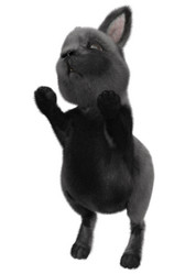 Similar image 21120075