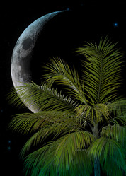 Similar image 21120080