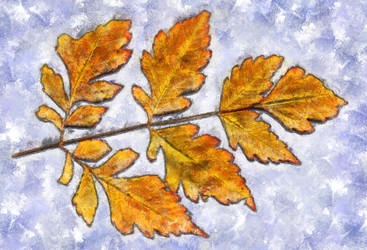 Similar image 21120081