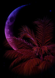 Similar image 21120082