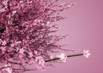 Similar image 21120087