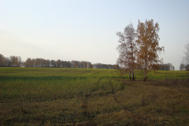 Similar image 21099069