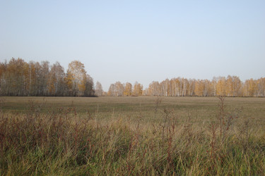 Similar image 21104575