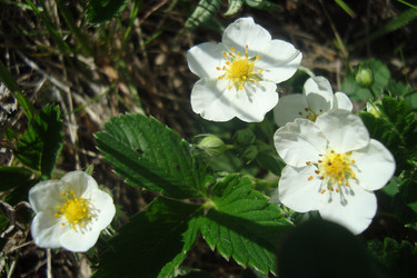 Similar image 21101508