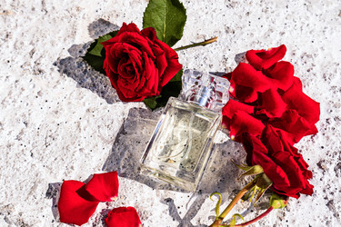 Similar image 21098261