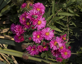 Similar image 21099070