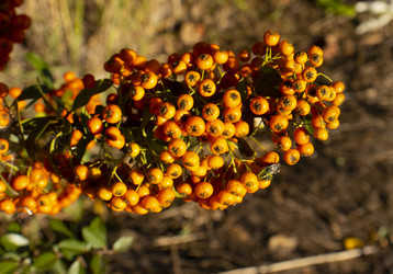 Similar image 21099071