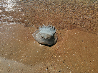 Similar image 21098928