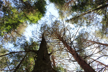 Similar image 21103126