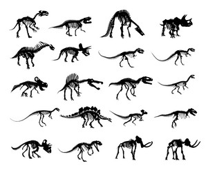 Similar image 21119215