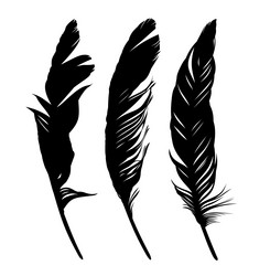 Similar image 21104921