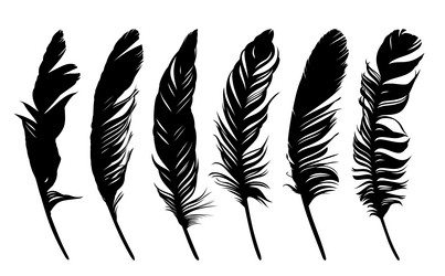 Similar image 21119216