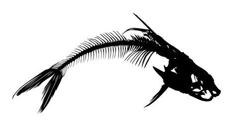 Similar image 21104929