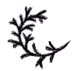 Similar image 21117350