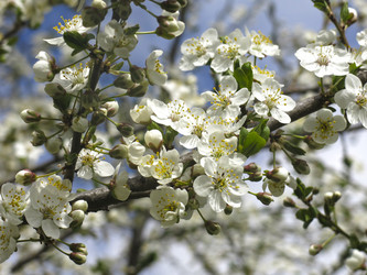 Similar image 21103493