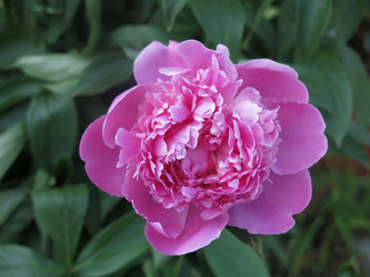 Similar image 21103494