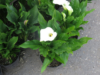 Similar image 21103495