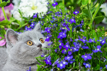 Similar image 21102951