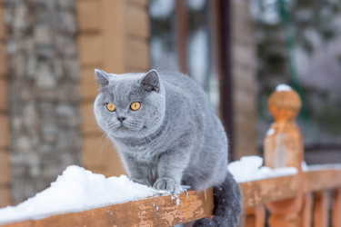 Similar image 21102952