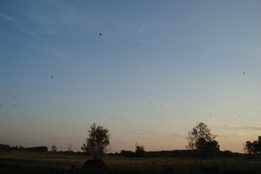 Similar image 21103128