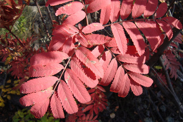 Similar image 21103129