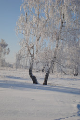 Similar image 21103130