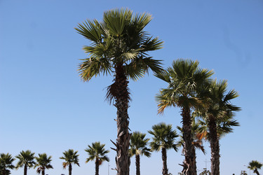 Similar image 21104579