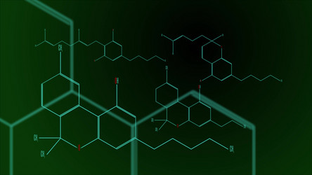 Similar image 21103053