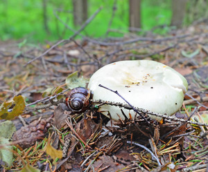 Similar image 21102964