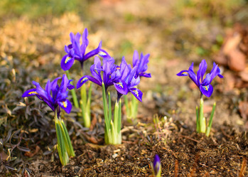 Similar image 21106362