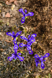 Similar image 21104225