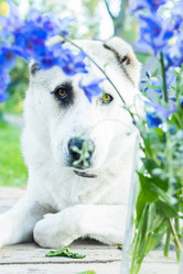 Similar image 21102749