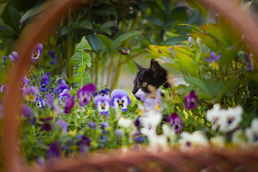 Similar image 21102751